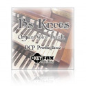 B's Knees - Voice Bank for Yamaha Classic/Motif ES/Rack ES/MO