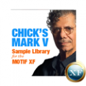 Chick's Mark V