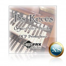 B's Knees - Voice Bank for Yamaha Motif XS