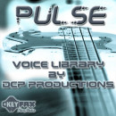 Pulse Voice Bank for S90 ES